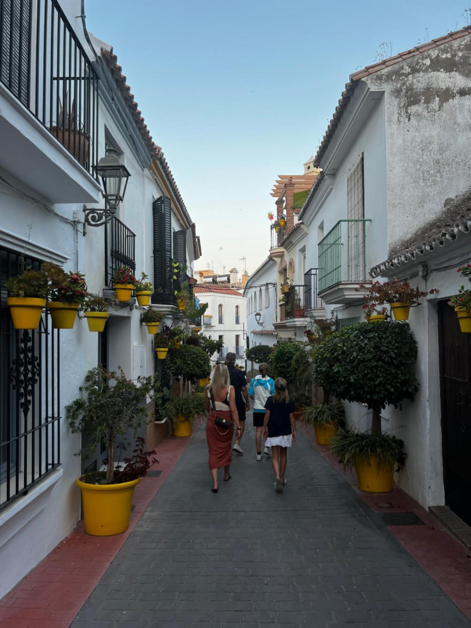 Playa Cristo Amazing Beach Terrace Appartment Estepona Bagian luar foto